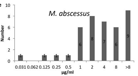 肺Mycobacterium abscessus症に対するクロファジミン_e0156318_23092079.png