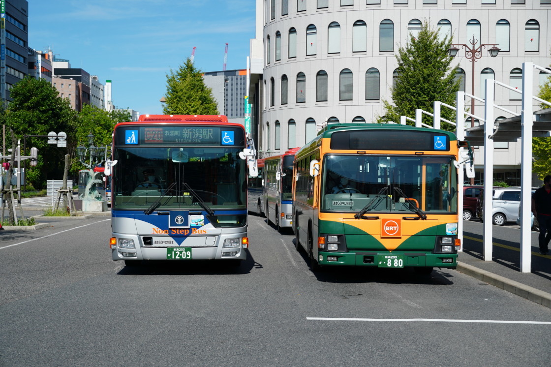 かぼちゃ電車バス : HIRO☆の鉄旅ブログ