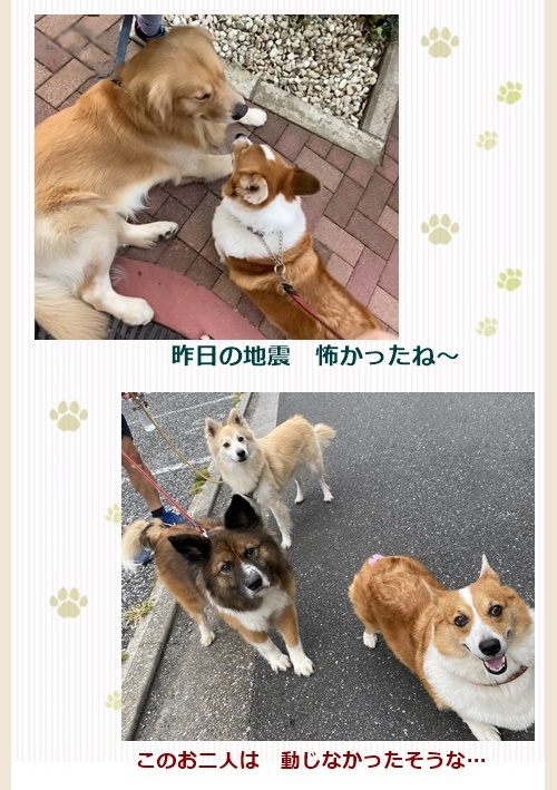 震度5強_c0128342_07130700.jpg