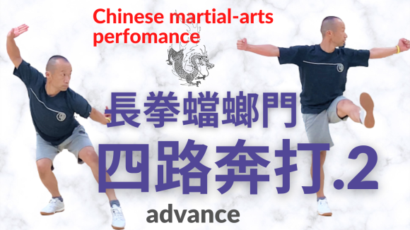 Tang Lang Quan【長拳蟷螂門 四路奔打.2】Praying Mantis Boxing(Kung Fu)_a0039748_19320495.png