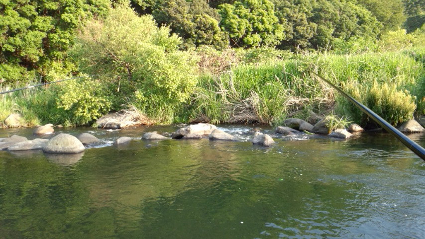 鮎毛バリ釣り(ドブ釣り)にチャレンジされる方に_a0284480_19362520.jpg