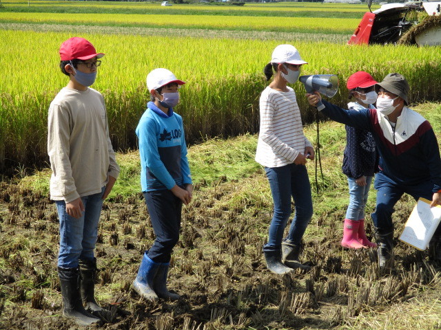 稲刈について（下目黒小・枝野小）_d0247484_11551873.jpg
