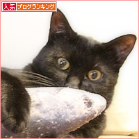 魚のさばき方_a0389088_16385900.jpg