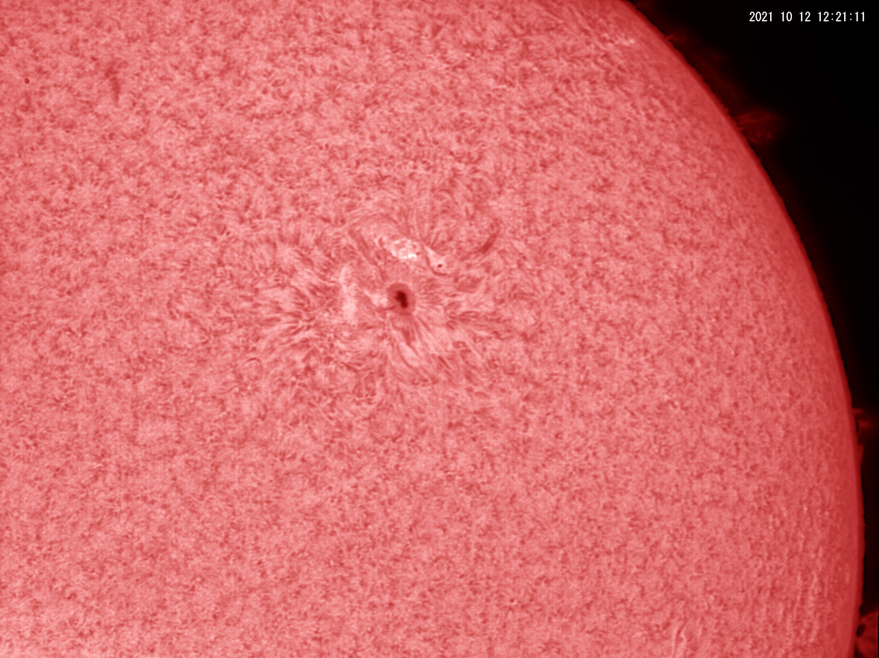 10月12日の太陽_e0174091_12414296.jpg