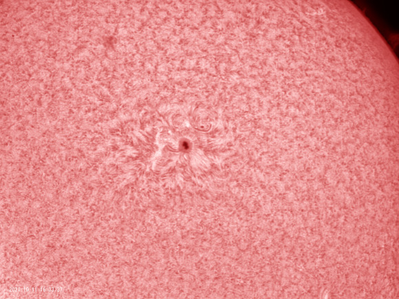 10月11日の太陽_e0174091_13524625.jpg