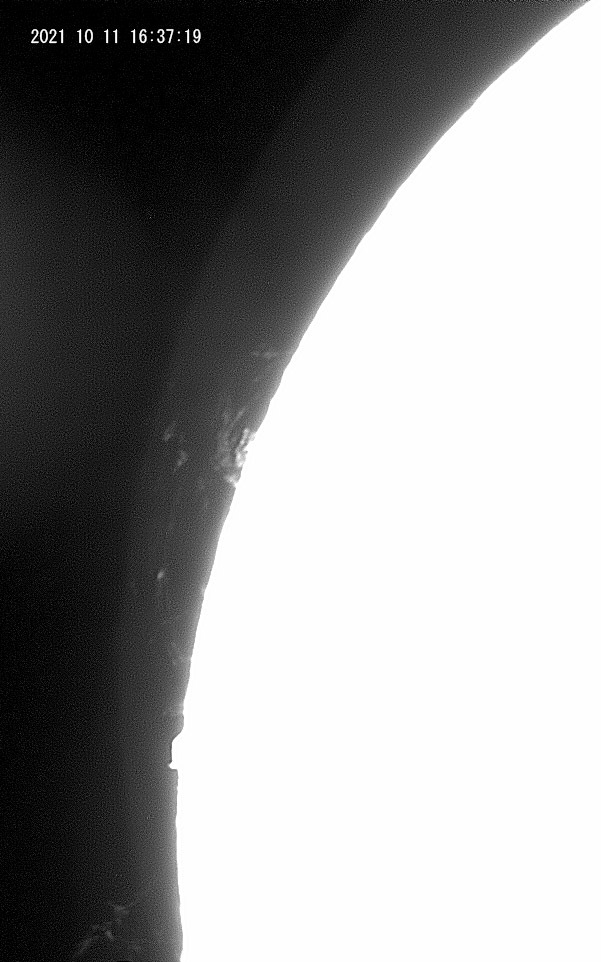 10月11日の太陽_e0174091_13525894.jpg
