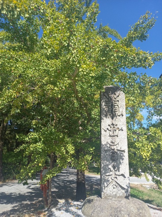 太宰府天満宮までお散歩_b0176205_20584870.jpg