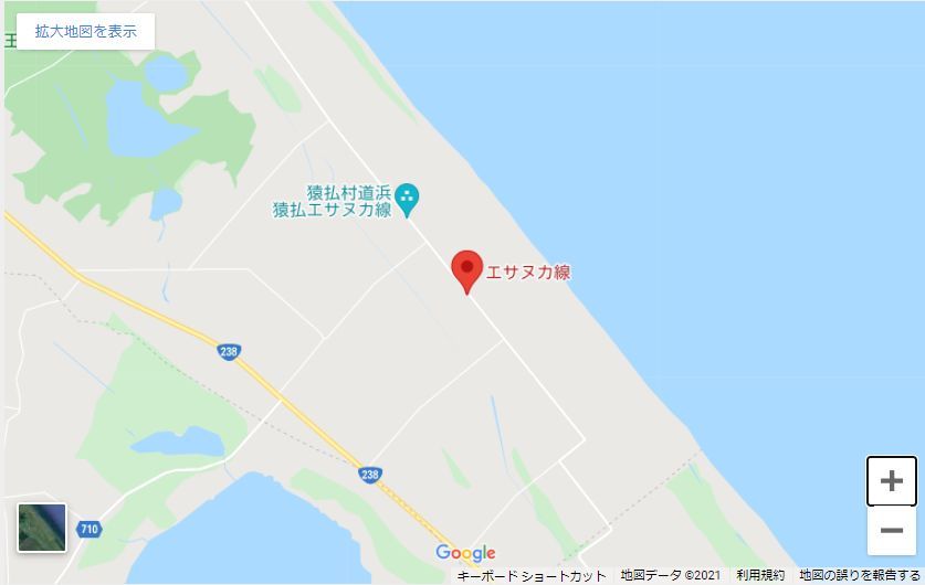 今日は20℃越え_c0025115_22013575.jpg