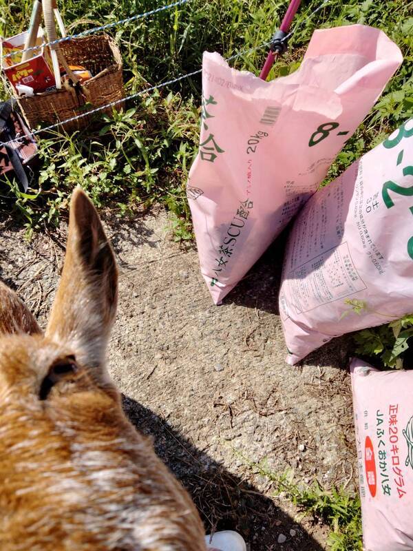 昼の番、夜の番_f0187336_14053832.jpg