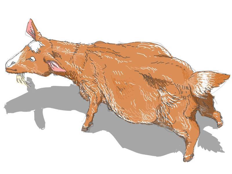 昼の番、夜の番_f0187336_14053916.jpg