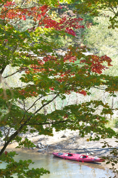 サンシャイントレイルの一部を散策~紅葉の志賀高原_b0404739_20532151.jpg