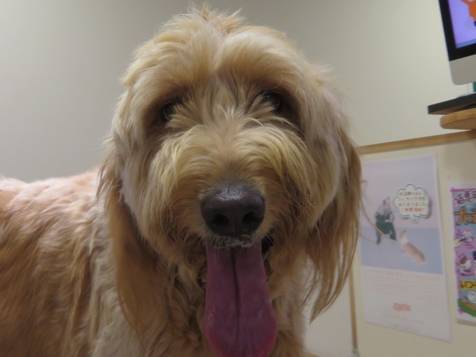 10月 14日の写真_c0174644_13144649.jpg