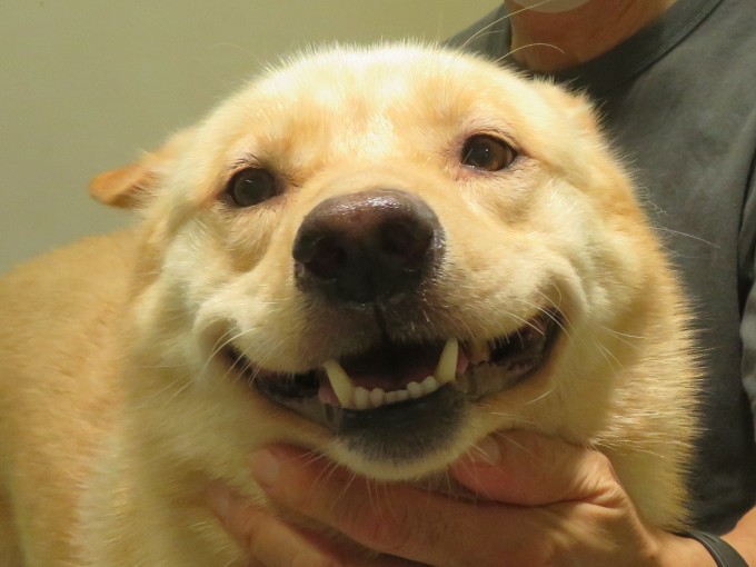 10月 14日の写真_c0174644_13151597.jpg