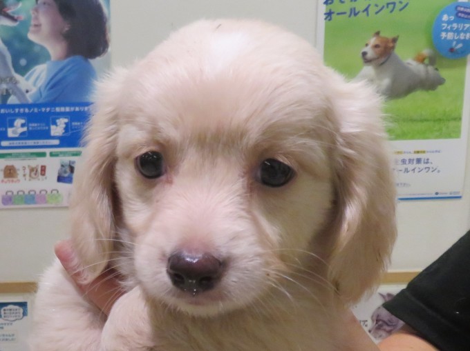 10月 14日の写真_c0174644_18123663.jpg