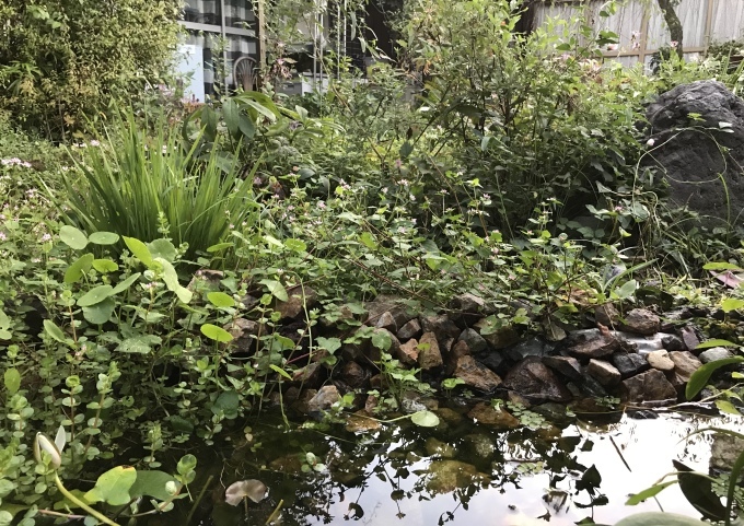 水と水を分けよ_d0101846_06143713.jpeg
