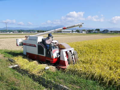 七城米 長尾農園 美しすぎる田んぼの稲刈り(2021) 新米の出荷は10月下旬からの予定です!(前編) _a0254656_20063756.jpg