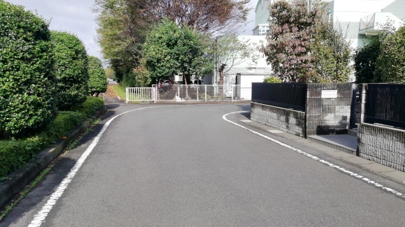 出勤 落葉が重い_c0212083_18473199.jpg