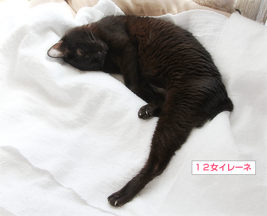 ひきこもり_a0389088_12031533.jpg