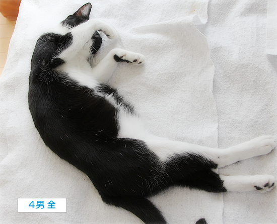ひきこもり_a0389088_12031542.jpg