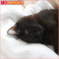 ひきこもり_a0389088_12031594.jpg