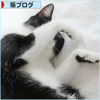ひきこもり_a0389088_12031646.jpg