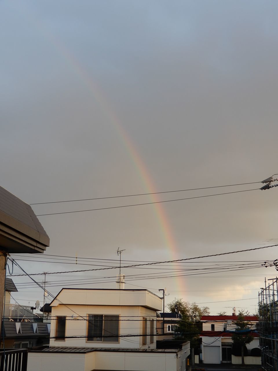 暗い一日の終りに明るい虹が_c0025115_21411548.jpg