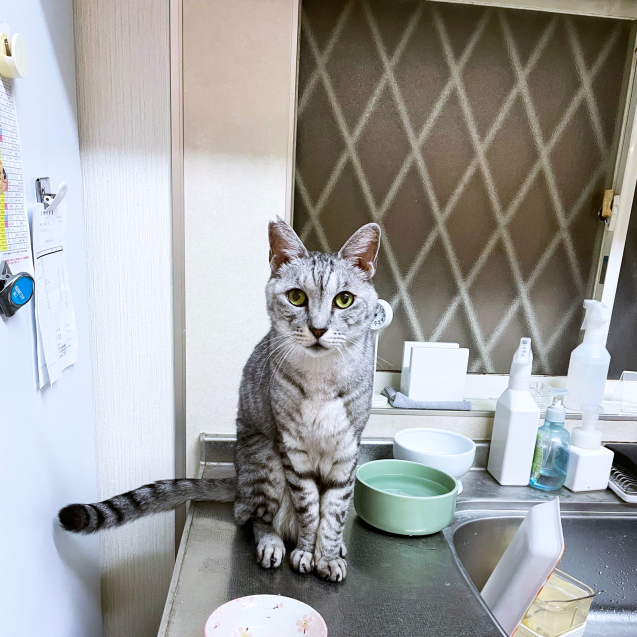 なっちゃんのルーティーン_d0355333_22012268.jpg