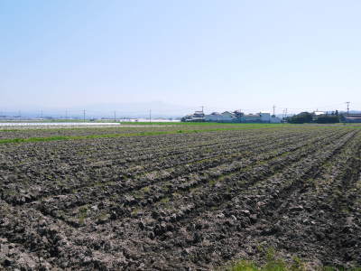 七城米 長尾農園 美しすぎる田んぼの稲刈り(2021) 新米の出荷は10月下旬からの予定です!(後編)_a0254656_18280183.jpg