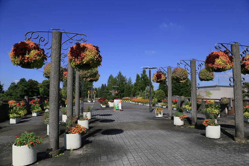 散歩代わりに宇治の植物公園へ_a0105680_22483338.jpg