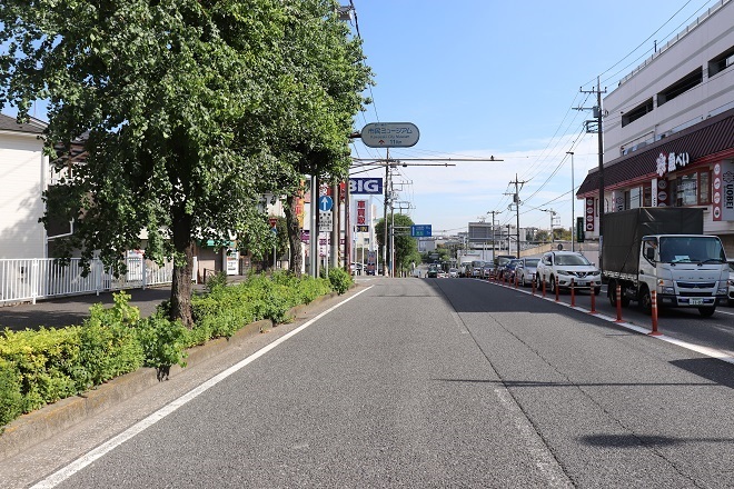 ぶらり宮前（1）王禅寺道（日吉の辻～宮崎大塚）02-神木・宮崎大塚_d0183387_10493221.jpg