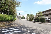 ぶらり宮前（1）王禅寺道（日吉の辻～宮崎大塚）02-神木・宮崎大塚_d0183387_15542847.jpg