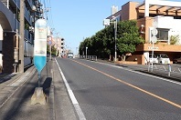 ぶらり宮前（1）王禅寺道（日吉の辻～宮崎大塚）02-神木・宮崎大塚_d0183387_23205004.jpg