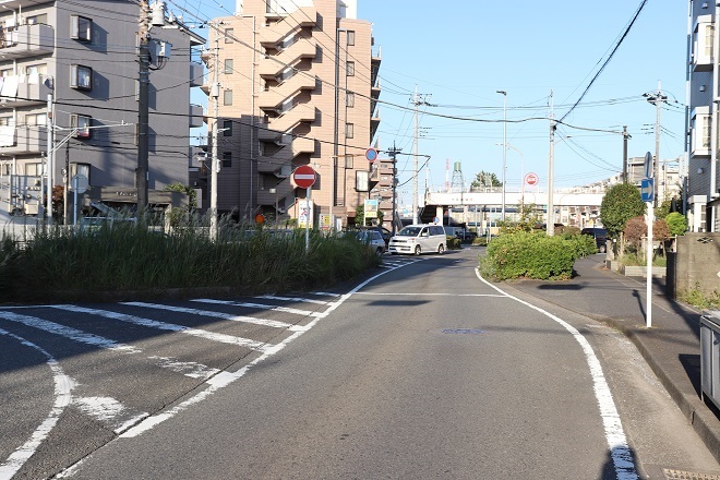 ぶらり宮前（1）王禅寺道（日吉の辻～宮崎大塚）02-神木・宮崎大塚_d0183387_23375011.jpg