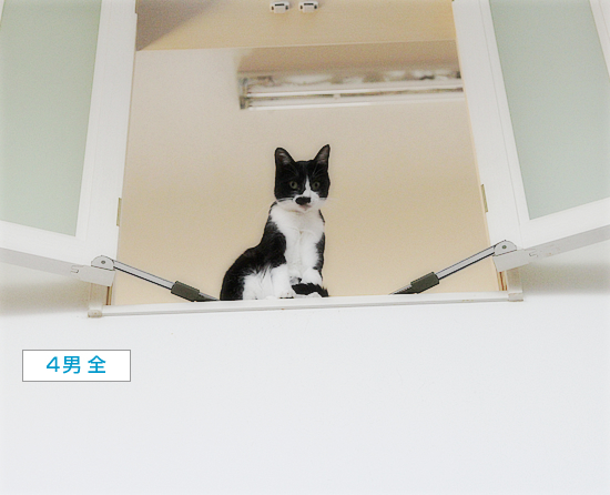 宅急便の恐怖_a0389088_16490546.jpg