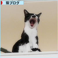 宅急便の恐怖_a0389088_16490614.jpg