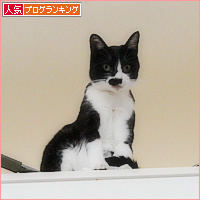 宅急便の恐怖_a0389088_16490682.jpg