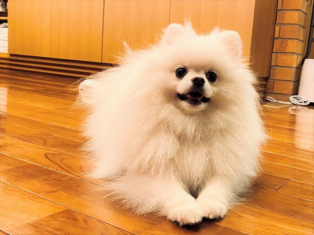準備万端?_d0360206_19492390.jpg