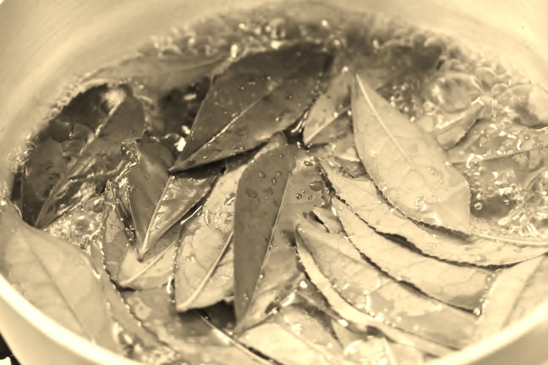 茶ＬＯＮ　（８８）_b0220318_10284570.jpg