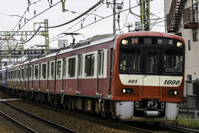 ブルー・イエローを狙って_c0018118_11265066.jpg