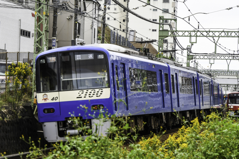 ブルー・イエローを狙って_c0018118_11333437.jpg