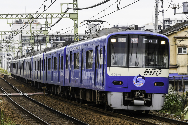 ブルー・イエローを狙って_c0018118_11503178.jpg