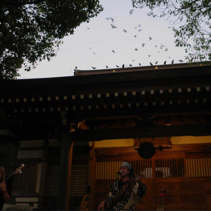 『密蔵寺』で即席ハンコアート展_c0060143_22053917.jpg