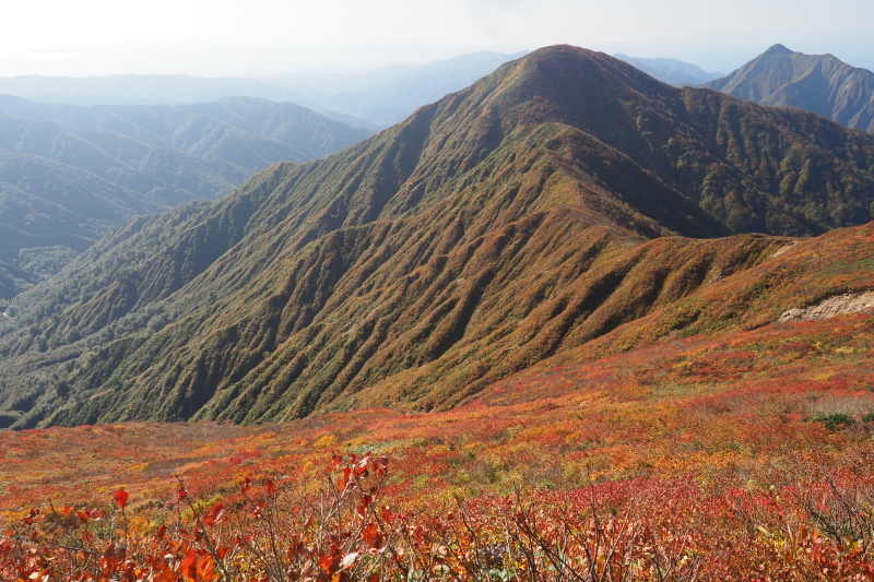 朝日連峰縦走　その1　針生平から泡滝へ2021/10/9〜11_b0189948_06471898.jpeg