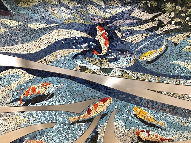 消えゆく水面 江戸川区の金魚池 : 水徒然