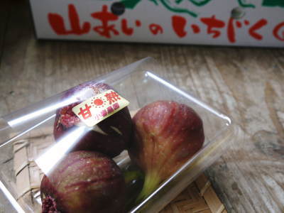甘熟いちじく 令和3年度も完売御礼!今年もたくさんのご注文誠にありがとうございました。_a0254656_16583255.jpg