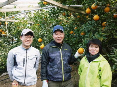 甘熟いちじく 令和3年度も完売御礼!今年もたくさんのご注文誠にありがとうございました。_a0254656_17082037.jpg