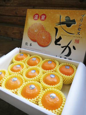 甘熟いちじく 令和3年度も完売御礼!今年もたくさんのご注文誠にありがとうございました。_a0254656_17144596.jpg