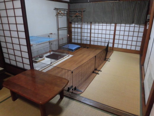 愛犬と宿泊_b0231886_16100347.jpg