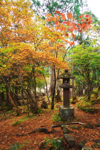 奥日光　湯ノ湖の湯滝側の紅葉1_a0263109_17012403.jpg