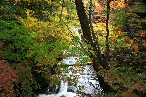 奥日光　龍頭滝の紅葉_a0263109_17164609.jpg